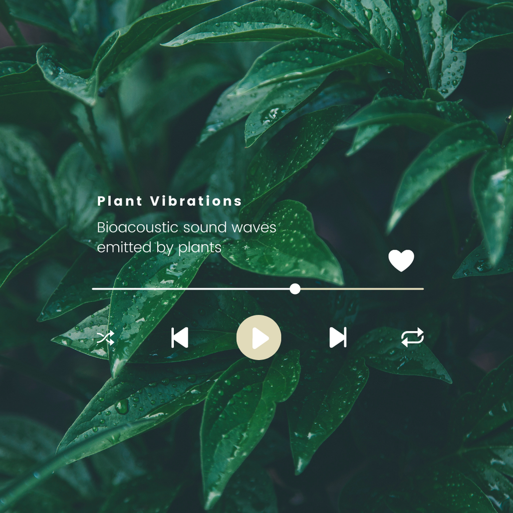 Plant Vibrations